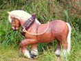 KONIK MAŁY
